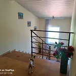 Guest house фернандес 3*