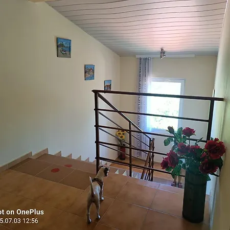 Gasthof фернандес 3*