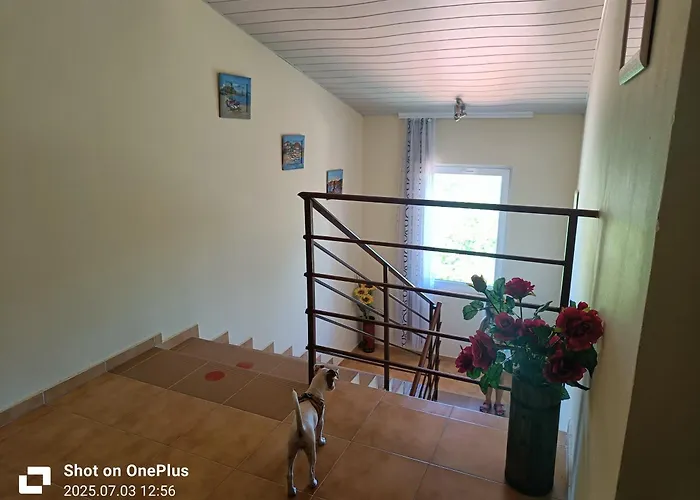 Penzion фернандес 3*